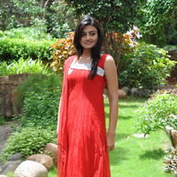 Nikitha Narayan New Pictures | Picture 68838